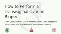 How to Perform a Transvaginal Ovarian Biopsy icon