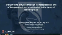 Doxycycline Diffuses through the Fetoplacental Unit of Late Pregnant Mares and Accumulates in the Joints of Resulting Foals icon