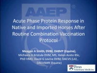 Acute Phase Protein Response in Native and Imported Horses After Routine Combination Vaccination Protocol icon