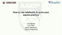 How to Use Telehealth to Grow Your Equine Practice icon