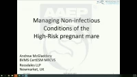 Managing Non-Infectious Conditions of the High-Risk Pregnant Mare icon
