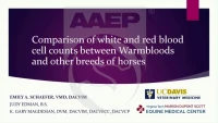 Comparison of White and Red Blood Cell Counts among Warmblood Horses, Thoroughbreds, and Other Breeds icon