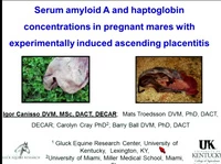 Serum Amyloid A and Haptoglobin Concentrations in Pregnant Mares with Experimentally Induced Ascending Placentitis icon