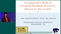 Comparative Study of Proximal Hindlimb Flexion in Horses: 5 Versus 60 Seconds icon