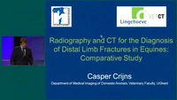 Radiography and Computed Tomography for the Diagnosis of Distal Limb Fractures in Equines: Comparative Study icon