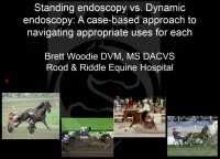 Upper Airway: Standing Endoscopy vs. Dynamic Endoscopy - A Case-Based Approach to Navigating Appropriate Uses for Each  icon