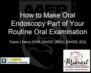 How to Make Dental Endoscopy Part of Your Routine Oral Examination  icon