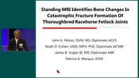 Standing MRI Identifies Bone Changes in Catastrophic Fracture Formation of Thoroughbred Racehorse Fetlock Joints icon