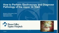 How to Perform Gastroscopy and Diagnose Pathology of the Upper Gastrointestinal Tract  icon