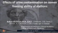 Effects of Urine Contamination on Semen Freezing Ability of Stallions  icon