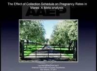 The Effect of Collection Schedule on Pregnancy Rates in Mares: A Meta-Analysis  icon