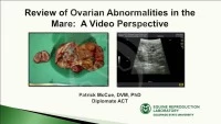 Review of Ovarian Abnormalities in the Mare: A Video Perspective  icon