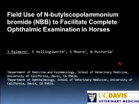 Field Use of N-Butylscopolammonium Bromide to Facilitate Complete Ophthalmic Examination in Horses icon