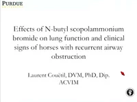 Effects of N-Butylscopolammonium Bromide on Lung Function in Horses with Recurrent Airway Obstruction icon