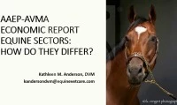 Equine Practice Sectors: How Do They Differ?  icon
