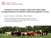 Comparison of Multiplex with Single-Antigen Serological Detection of Antibodies to Borrelia Burgdorferi in Horses icon