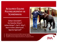 Acquired Equine Polyneuropathy in Scandinavia icon