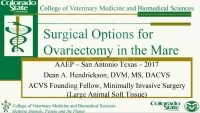 Surgical Options for Ovariectomy  icon