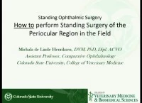 Standing Ophthalmic Surgery: How to Be Ready to Do Surgery in the Field  icon