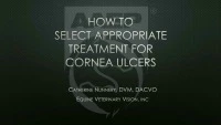 How to Select Appropriate Treatment for Corneal Ulcers  icon