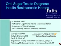 Oral Sugar Test to Diagnose Insulin Resistance in Horses icon