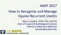How to Recognize and Manage Equine Recurrent Uveitis  icon