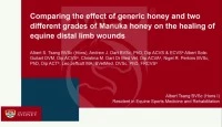A Comparison of the Effects of Topical Application of UMF 20 and UMF 5 Manuka Honey With a Generic Multi-Floral Honey on Wound Healing Variables in an Uncontaminated, Surgical, Equine Distal Limb Wound Model  icon