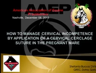 How to Manage Cervical Incompetence by the Application of a Cervical Cerclage Suture in the Pregnant Mare icon