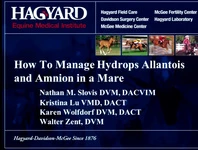 How to Manage Hydrops Allantois/Hydrops Amnion in a Mare icon