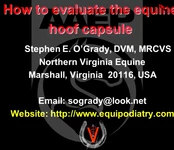 How to Evaluate the Equine Hoof Capsule icon