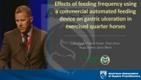 Effects of Feeding Frequency Using a Commercial Automated Feeding Device on Gastric Ulceration in Exercised Quarter Horses  icon