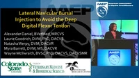 Optimization of a Navicular Bursal Injection Technique that Avoids Penetration of the Deep Digital Flexor Tendon icon