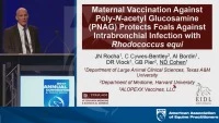 Maternal Vaccination Against Poly-N-acetyl Glucosamine (PNAG) Protects Foals Against Intrabronchial Infection With Rhodococcus equi  icon