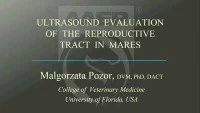 Ultrasound Evaluation of the Reproductive Tract in Mares: Why Ultrasonography is an Essential Component of Daily Practice icon