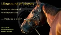 Ultrasound of Adult Horses icon