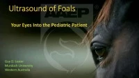 Ultrasound of Foals - Your Eyes Into the Pediatric Patient  icon