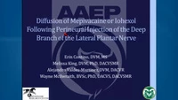 In-vivo Diffusion Characteristics Following Perineural Injection of the Deep Branch of the Lateral Plantar Nerve With Mepivacaine or Lohexol in Horses icon