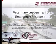 Veterinarians Addressing Local, State, and Federal Challenges in Man-Made or Natural Disasters icon