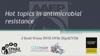 Hot Topics in Antimicrobial Resistance  icon