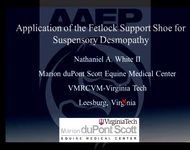 Application of the Fetlock Support Shoe for Suspensory Desmopathy icon