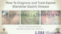 How to Diagnose and Treat Equine Gastric Glandular Disease  icon