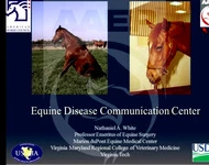 National Equine Health Plan icon