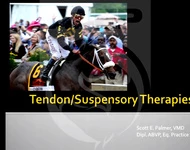 Tendon/ Suspensory Therapies icon