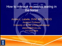 How to Manage Excessive Tearing in the Horse icon