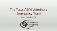 The Texas A&M Veterinary Emergency Team icon