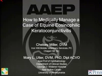 How to Medically Manage a Case of Equine Eosinophilic Keratoconjunctivitis icon