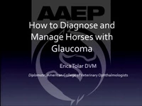How to Diagnose and Manage Horses with Glaucoma icon