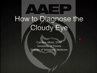 How to Diagnose the Cloudy Eye icon