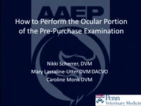 How to Perform an Ocular Pre-Purchase Examination icon