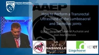 How to Perform a Transrectal Ultrasound Examination of the Lumbosacral and Sacroiliac Joints icon